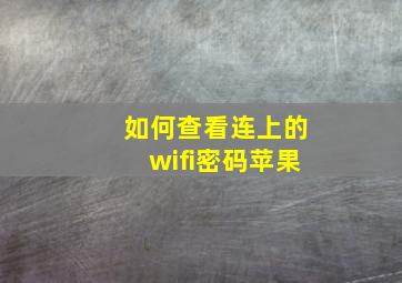 如何查看连上的wifi密码苹果