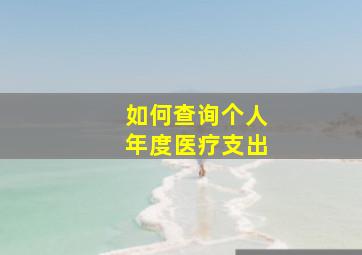 如何查询个人年度医疗支出