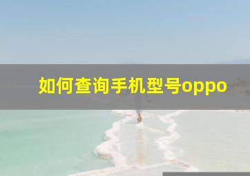 如何查询手机型号oppo