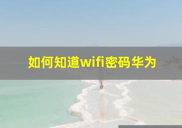 如何知道wifi密码华为