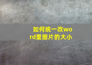 如何统一改word里图片的大小