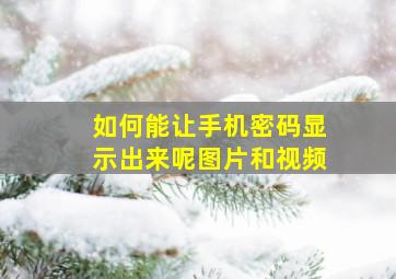 如何能让手机密码显示出来呢图片和视频