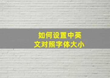 如何设置中英文对照字体大小