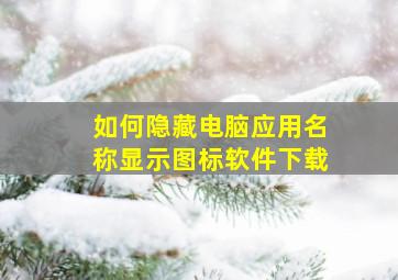 如何隐藏电脑应用名称显示图标软件下载