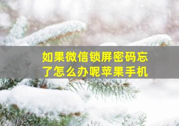 如果微信锁屏密码忘了怎么办呢苹果手机