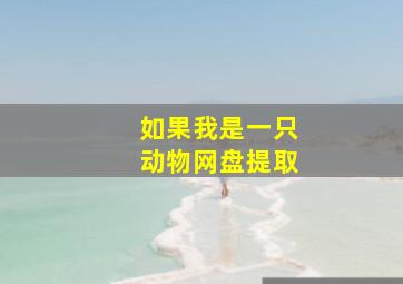 如果我是一只动物网盘提取