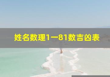 姓名数理1一81数吉凶表