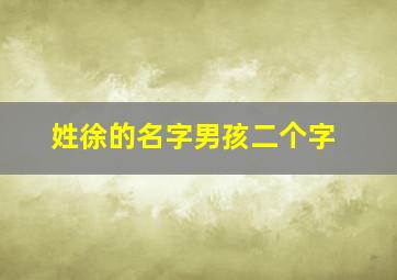 姓徐的名字男孩二个字