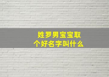 姓罗男宝宝取个好名字叫什么