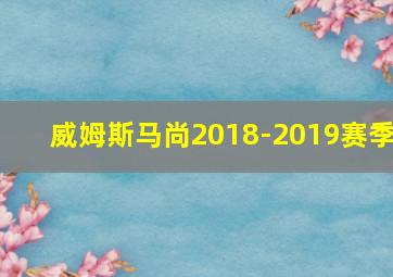 威姆斯马尚2018-2019赛季