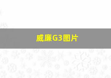 威廉G3图片