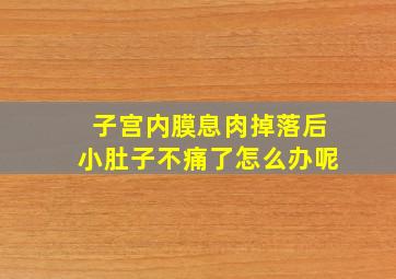 子宫内膜息肉掉落后小肚子不痛了怎么办呢