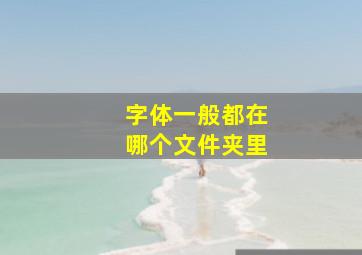 字体一般都在哪个文件夹里