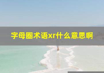 字母圈术语xr什么意思啊