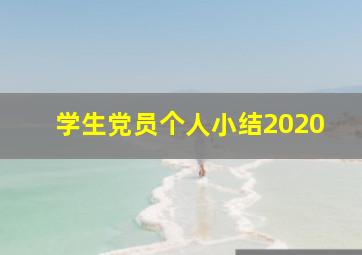 学生党员个人小结2020