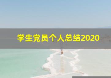 学生党员个人总结2020