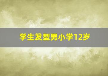 学生发型男小学12岁