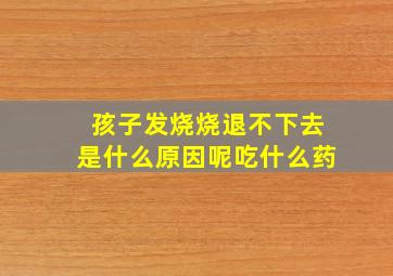 孩子发烧烧退不下去是什么原因呢吃什么药