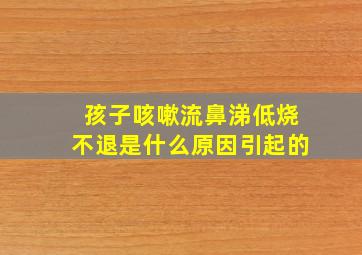 孩子咳嗽流鼻涕低烧不退是什么原因引起的