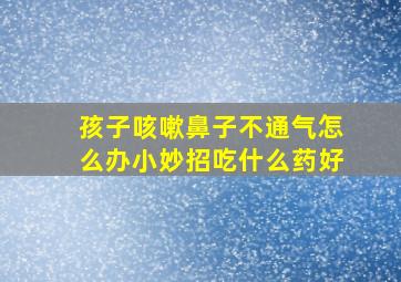 孩子咳嗽鼻子不通气怎么办小妙招吃什么药好