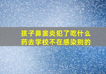 孩子鼻窦炎犯了吃什么药去学校不在感染别的