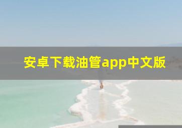 安卓下载油管app中文版