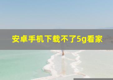 安卓手机下载不了5g看家