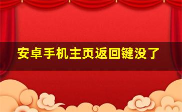 安卓手机主页返回键没了