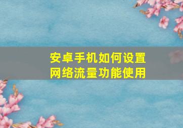 安卓手机如何设置网络流量功能使用