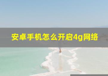 安卓手机怎么开启4g网络