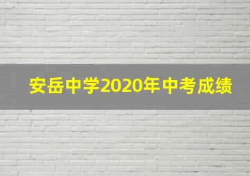 安岳中学2020年中考成绩