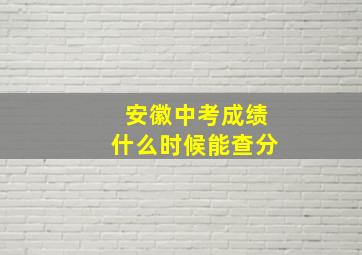 安徽中考成绩什么时候能查分