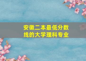 安徽二本最低分数线的大学理科专业