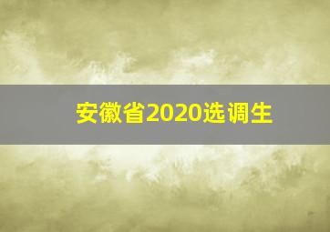 安徽省2020选调生