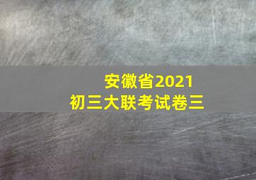 安徽省2021初三大联考试卷三