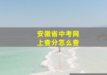 安徽省中考网上查分怎么查