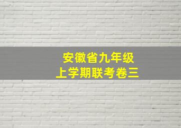 安徽省九年级上学期联考卷三