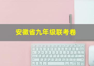 安徽省九年级联考卷