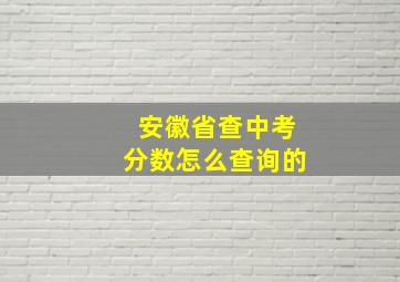 安徽省查中考分数怎么查询的