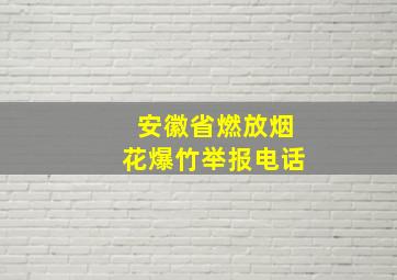 安徽省燃放烟花爆竹举报电话