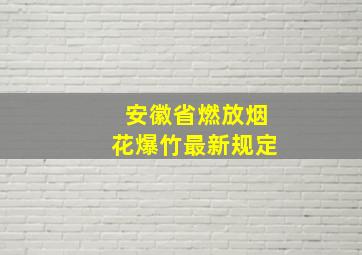 安徽省燃放烟花爆竹最新规定