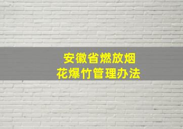 安徽省燃放烟花爆竹管理办法