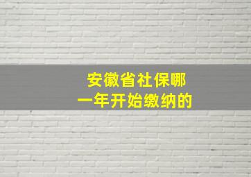 安徽省社保哪一年开始缴纳的