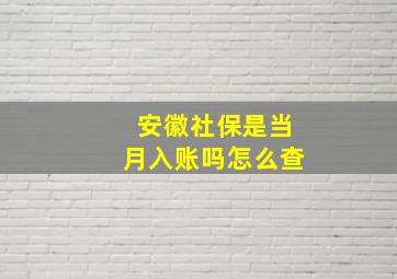 安徽社保是当月入账吗怎么查