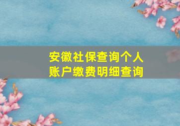 安徽社保查询个人账户缴费明细查询