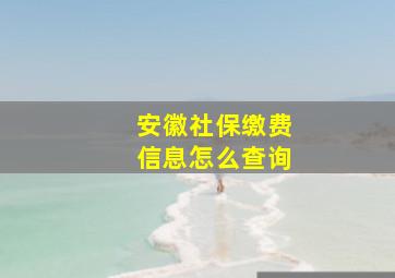 安徽社保缴费信息怎么查询