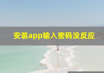 安装app输入密码没反应