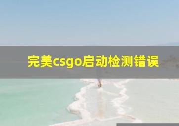 完美csgo启动检测错误