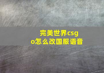 完美世界csgo怎么改国服语音