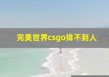 完美世界csgo排不到人